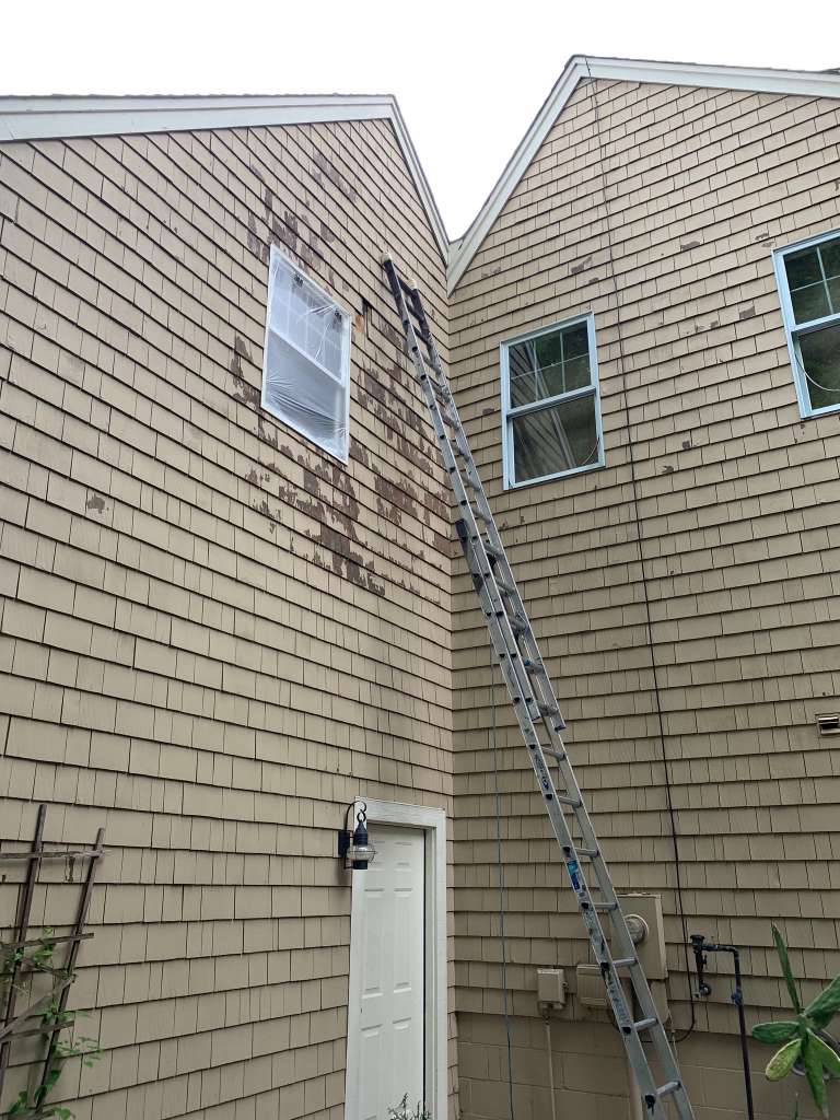 Siding before — chipping and peeling paint